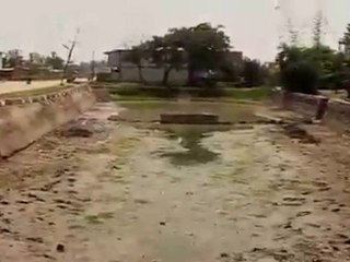 Deforestation Changing the Landscape in Manipur