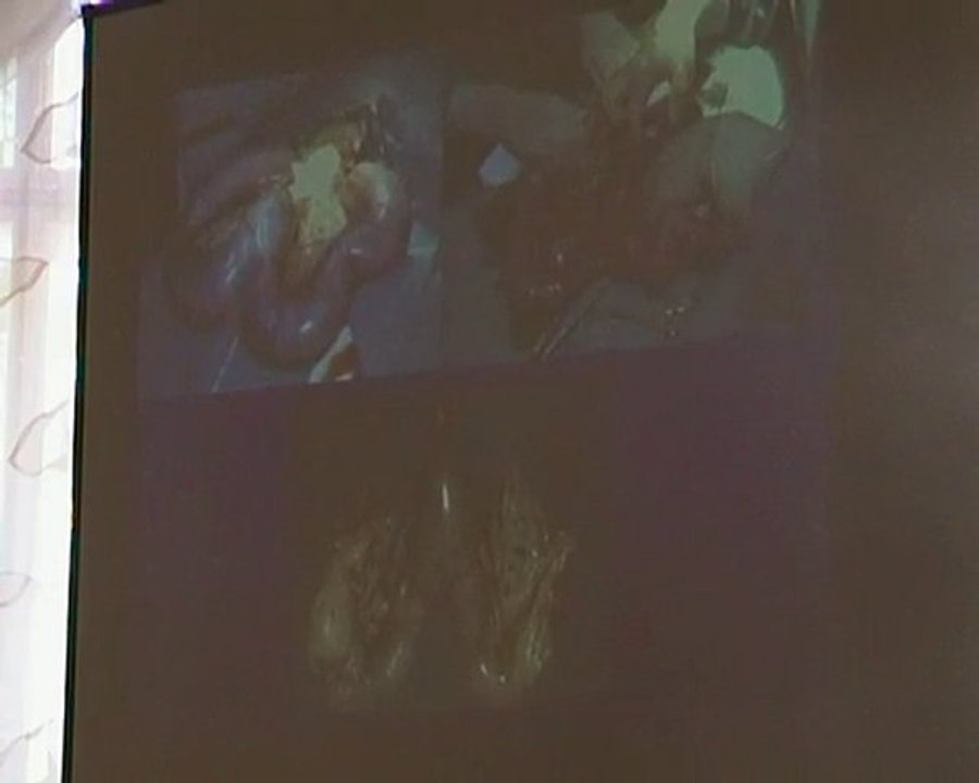 Pyometra