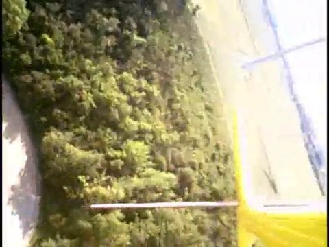 St FELIX LAURAGAIS Milan noir VS Voltig