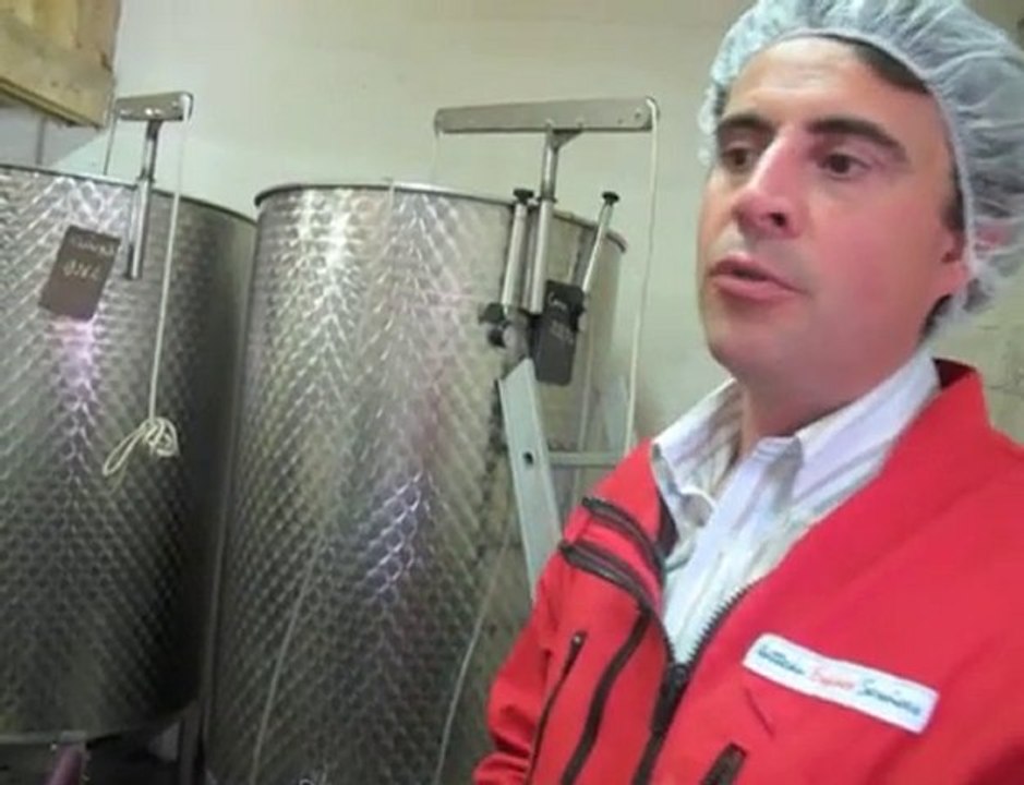 Valenciennes: au coeur du vignoble Watteau