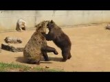 Aménagement des Espaces Verts au Zoo de Gramat