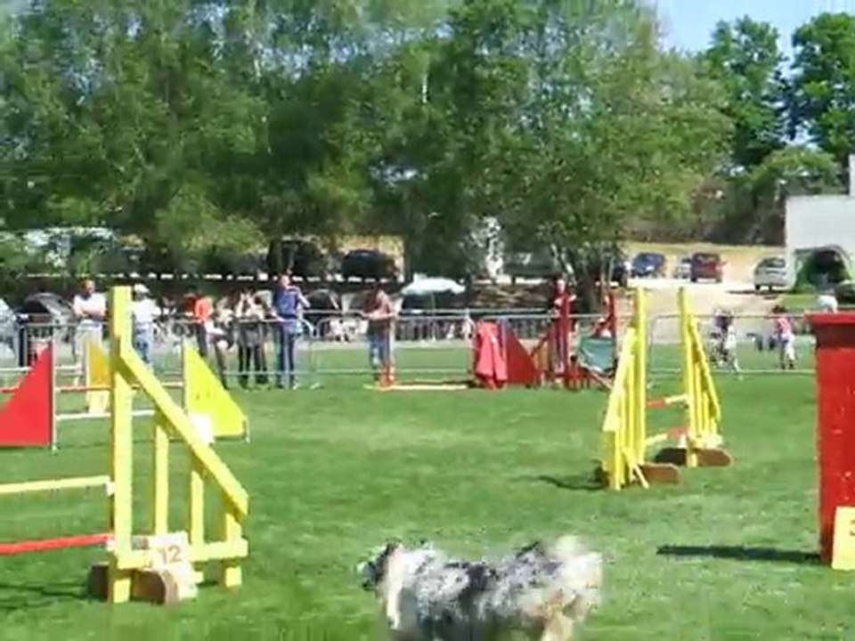Fidji agility 1 Trophée par équipe Limoges 2010