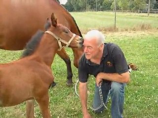 Pablito première sortie