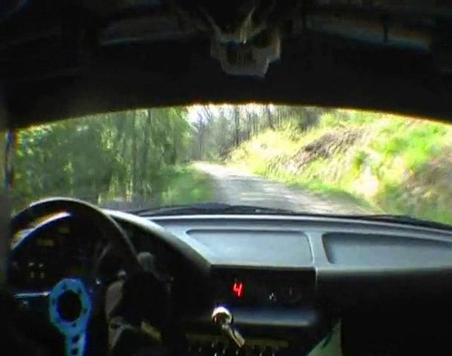 Costeraste BMW Compact Gard 2010 ES4 Gagnières