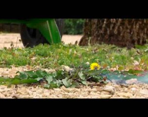 La Ville de Niort agit pour restaurer la biodiversité