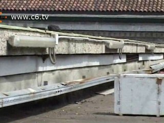 Ancora api a Milano:questa volta sul tetto di Palazzo Marino