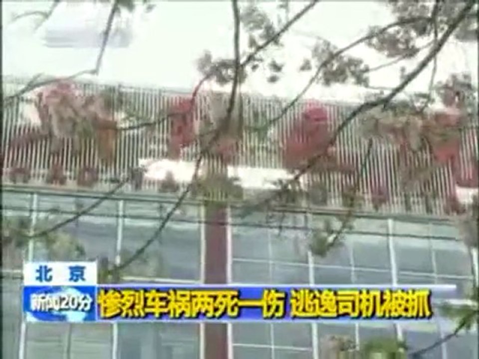 Un cycliste chanceux