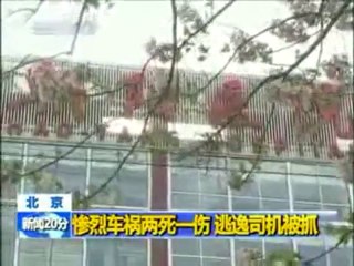 Un cycliste chanceux