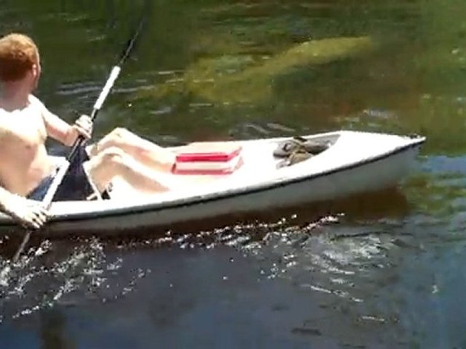 Weeki Wachee River manatees - mom and baby