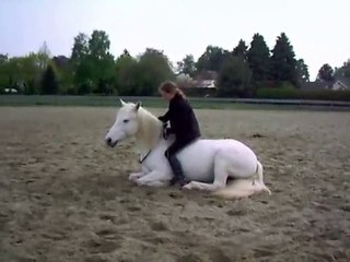 travail à pied avec Mayoa 09 mai 2010