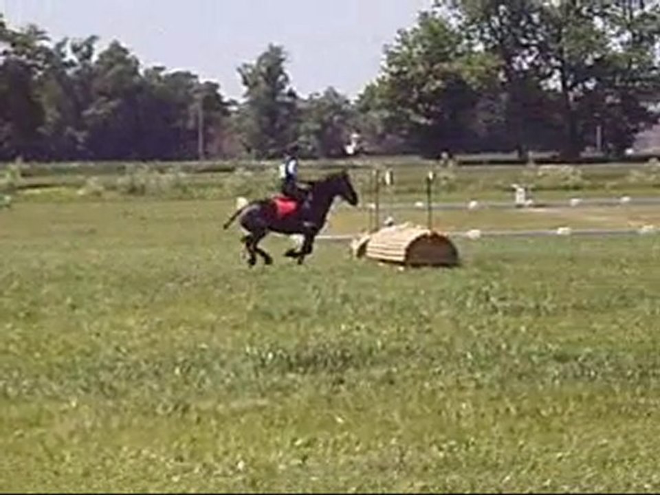 Orée cross CCE Lattes