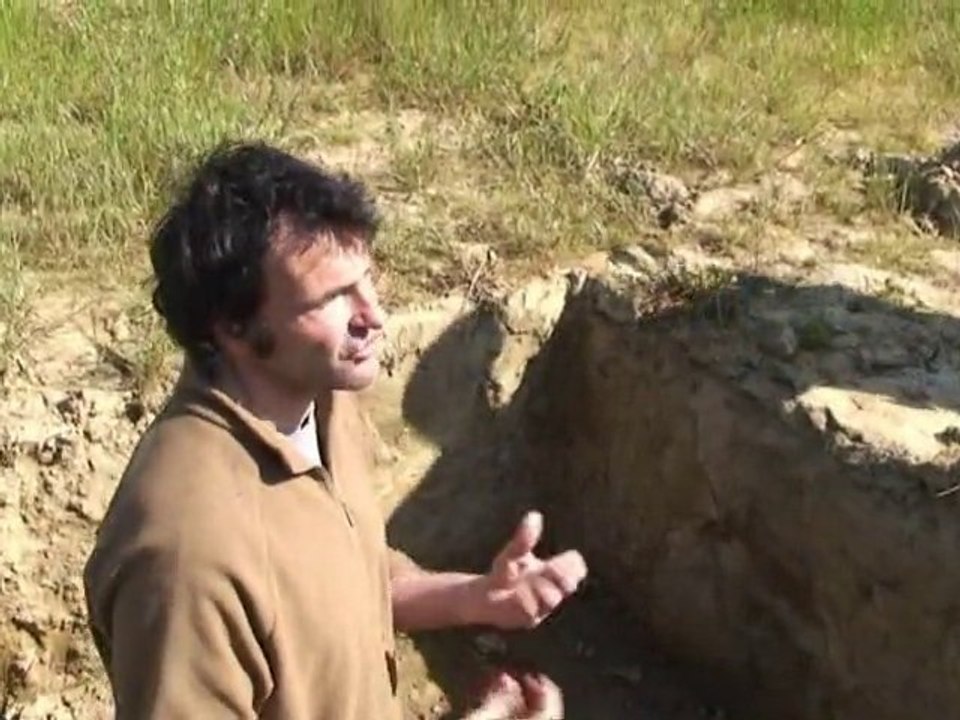 Chantier de Phytoépuration en Haute-Loire