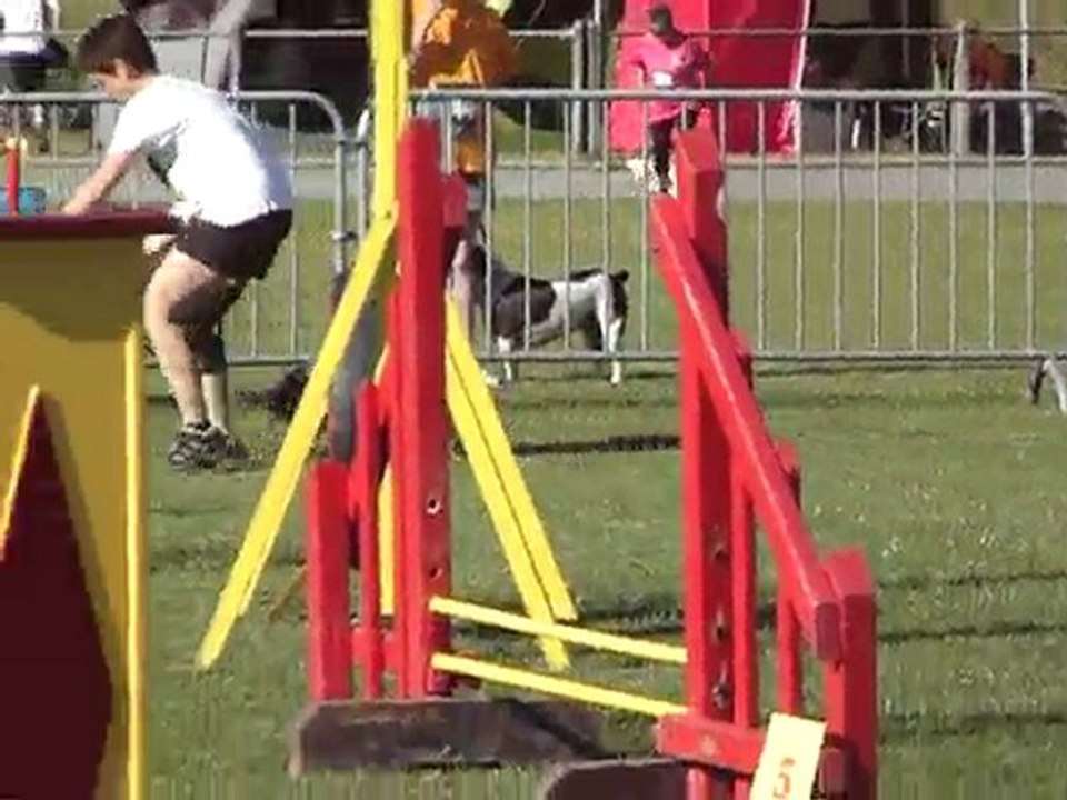union de loin jump b
