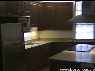 Spectacular North End Apartment For Rent