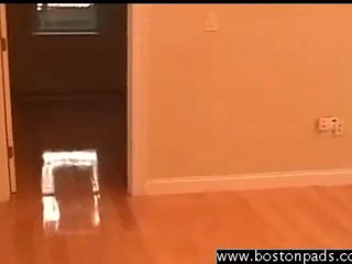 Great North End Apartment For Rent