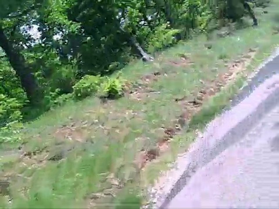 1er Rallye routier moto Ventoux 2010 - Col Viares - #432