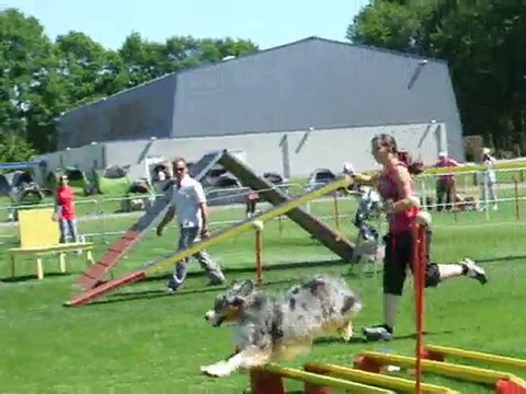 Under agility 1 Trophée par équipe Limoges 2010