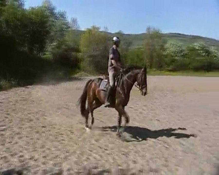 shétaan obstacle mai 2010 1