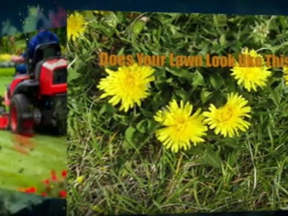 Lawn Care Services in Winnipeg Weed Control & Liquid Fertil
