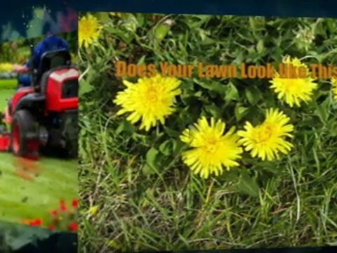 Lawn Care Services in Winnipeg Weed Control & Liquid Fertil