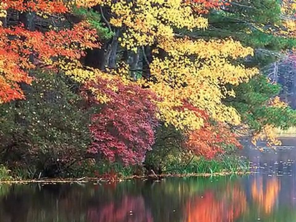 DUNYAMIZ DA OLALIM-SIIR YORUM ARIFKEMAL