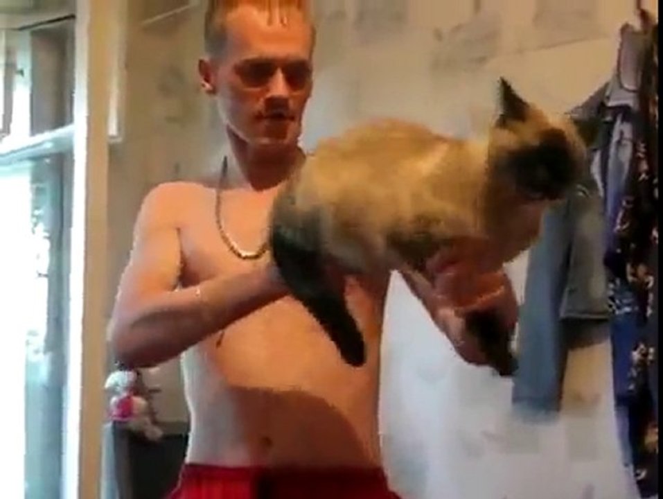 Katze als MG Missbrauchen