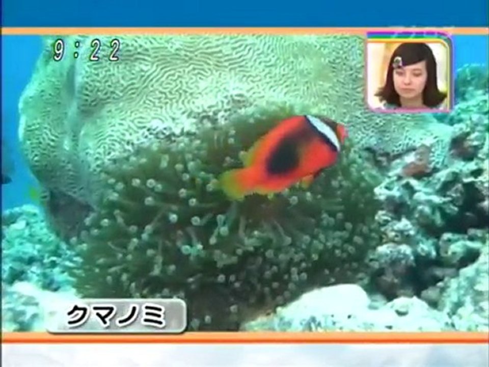 にしいろしーん　フィジー編