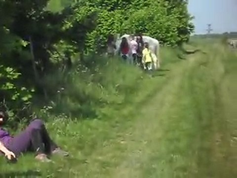 Poney Camargue. Arrivée(1) le 22/05/2010