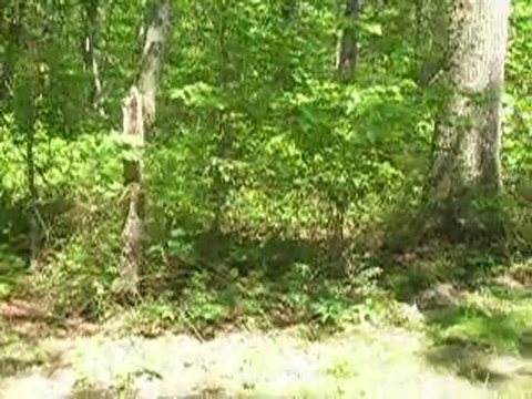 buy cheap land, land for sale louisa, land sale