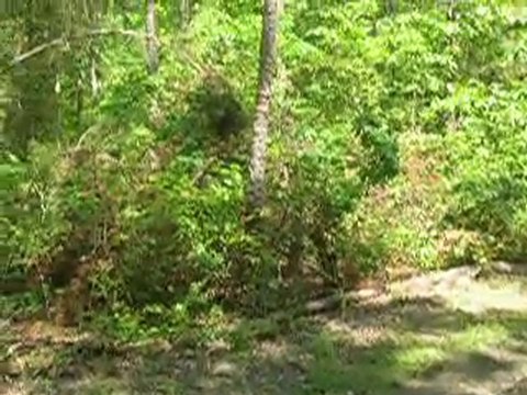 owner financed land, Land with owner financing