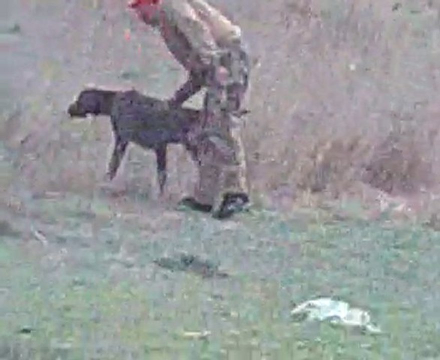 Video0016