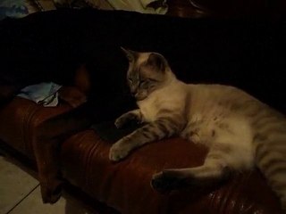 petit calin avec mon poto