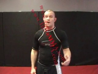 Chris "Lights Out" Lytle Intro to MMA Seminar DVD