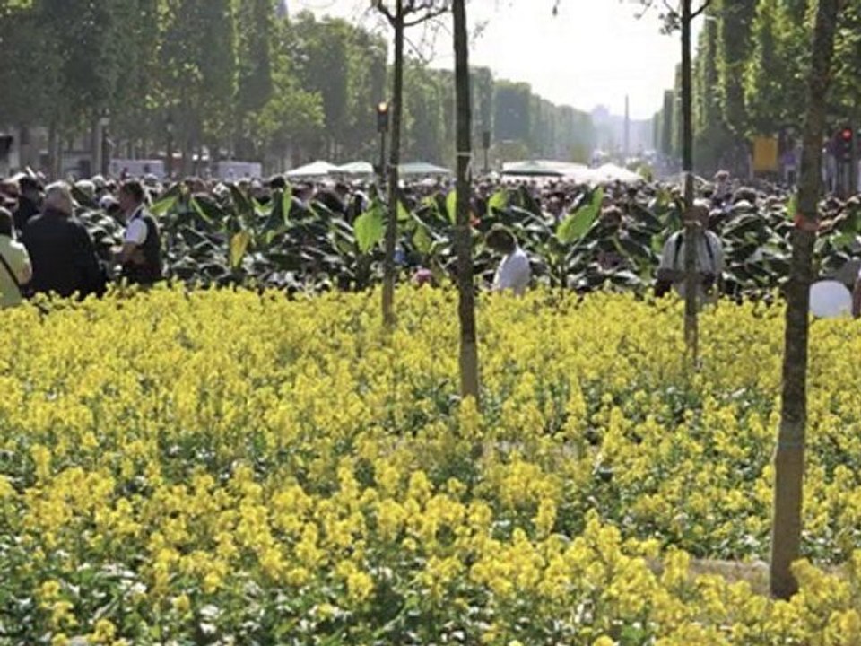Nature Capitale Paris Champs-Elysées