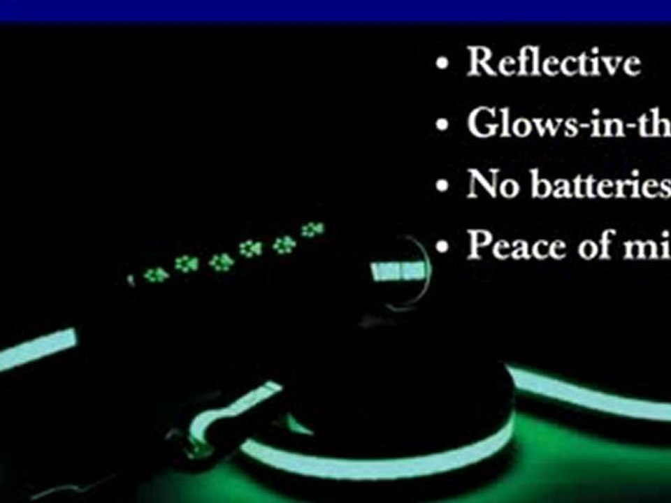 Reflective Dog Collar & Harness