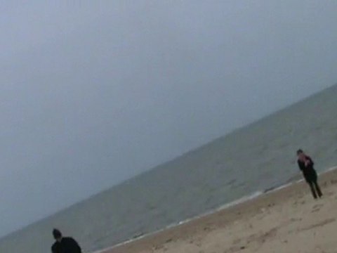 Cerf-volant par les élèves du Collège du Château d'Oléron