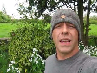 Walking into a Warzone ?