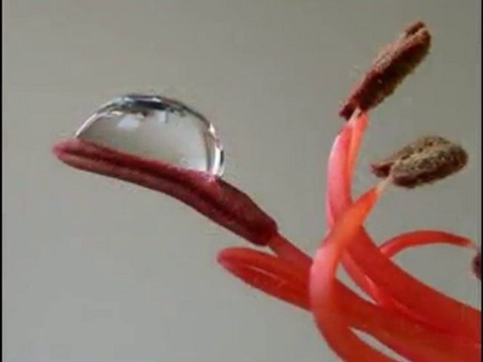 La Goutte D'eau..........................