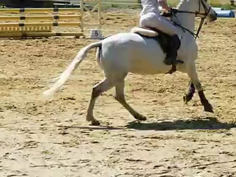 hunter grand montgnard