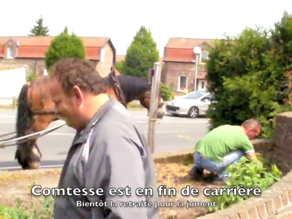 Un cheval Trait du Nord aux services des espaces verts à Aub