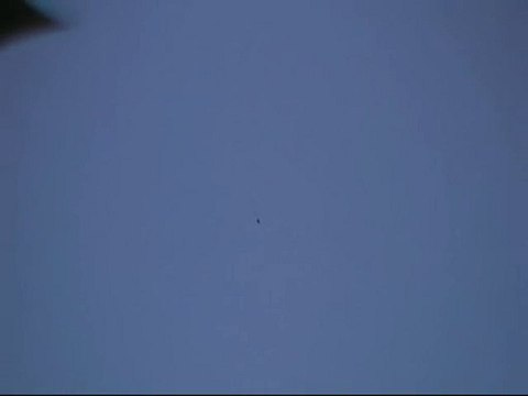 Daytime black UFO over Pennsylvania - 25 May 2010