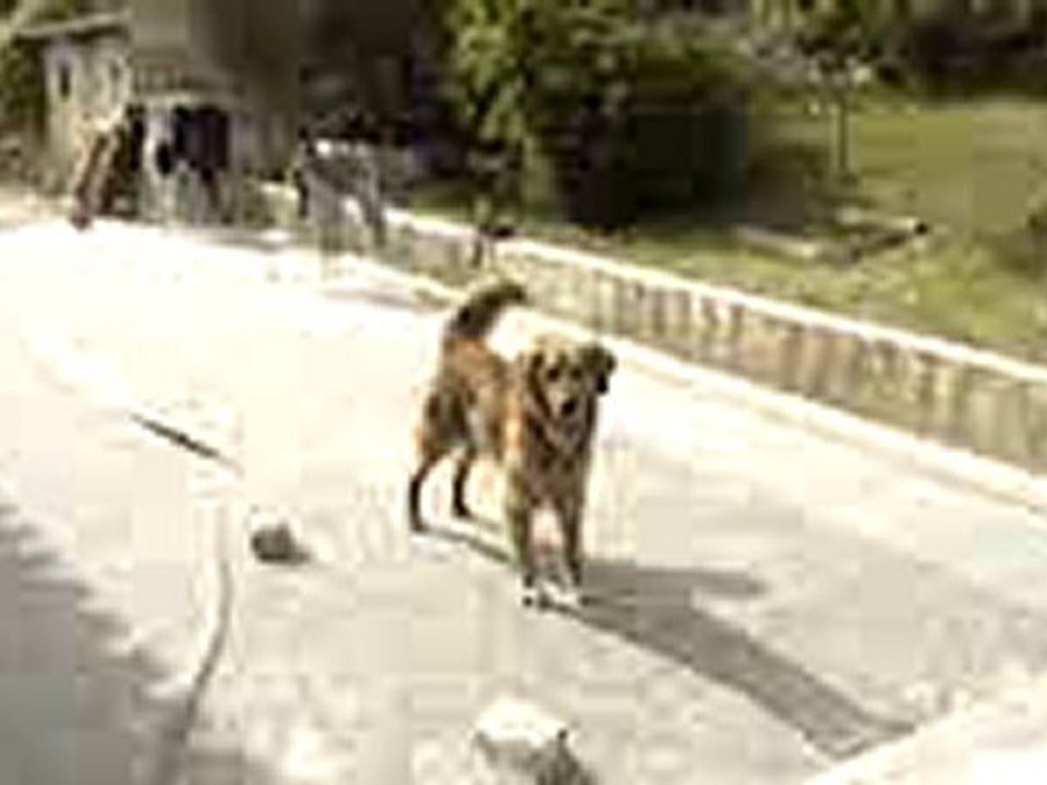 Paco et Ema