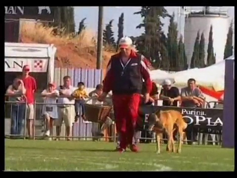 Persan finale Ring 2005 à Nice