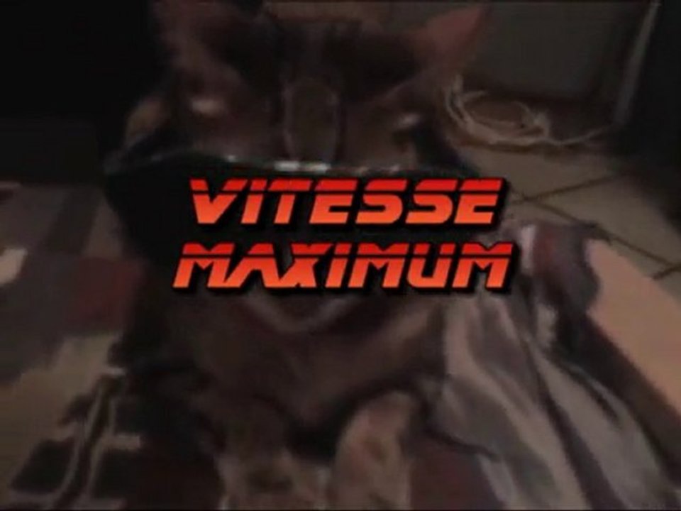 le chat