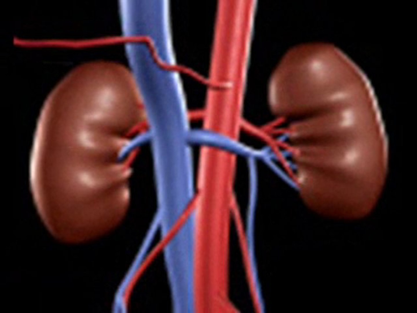 Latest News on Urology