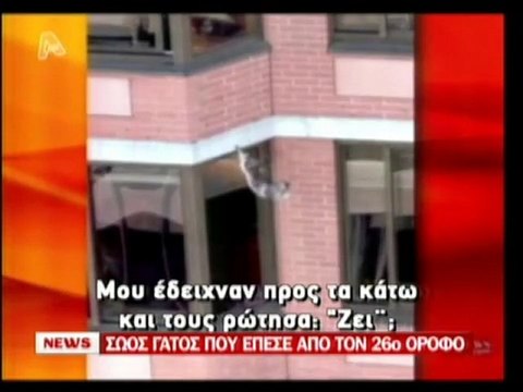 pagritianews- Οι γάτες είναι επτάψυχες!