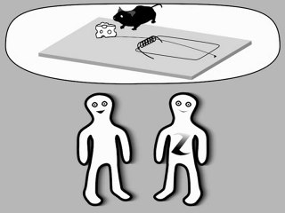 Hypothèse finaliste : l'effet « Pangloss »