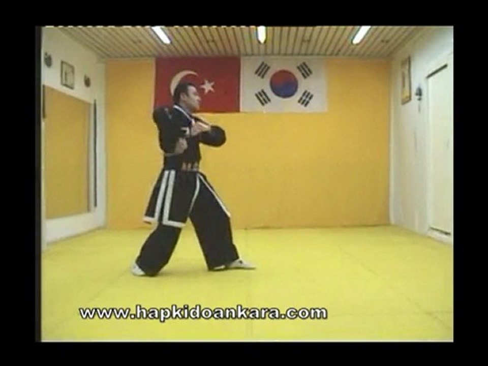 Ankarada Hapkido  Master Sadık Şahin  nancuhako 1.bölüm