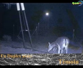 Soirée Spéciale Intimidations en Ufologie (1)