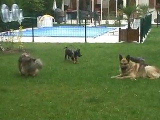 clip-2010-05-27 09;05;49